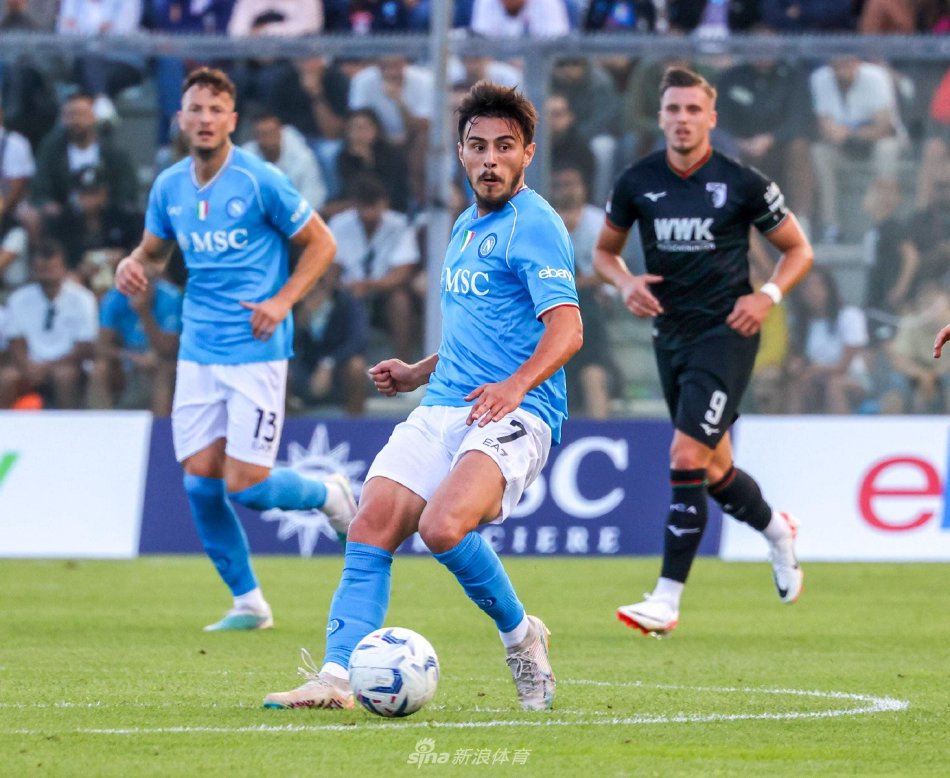 仅仅是推断 仅仅是推断