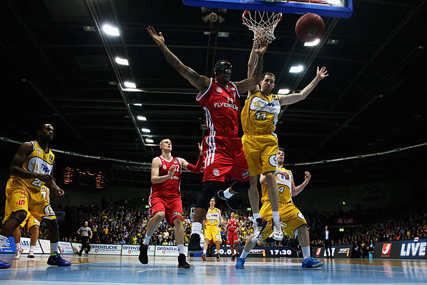 蒙特利尔的 蒙特利尔的